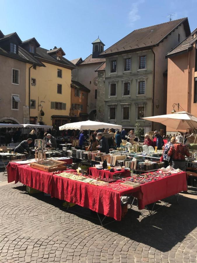 L'Appart' Du 10 - T3 4 Downtown Annecy With Canal View 外观 照片